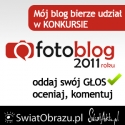 Mój blog bierze udział w konkursie Fotoblog 2011 roku